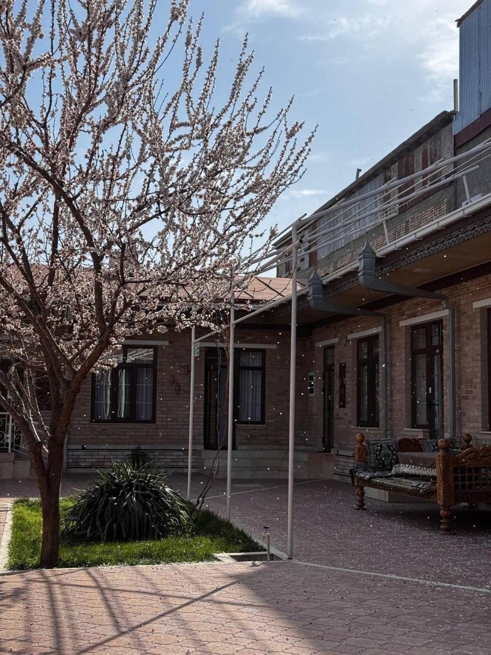 Salomat Guest House Samarkand Eksteriør billede